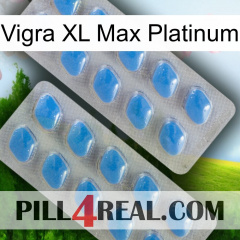 Vigra Xl Max Platinum 23